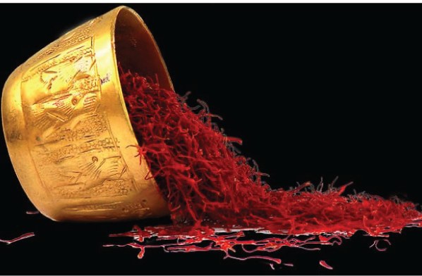 Azafrán Neguin: estigmas rojos enteros